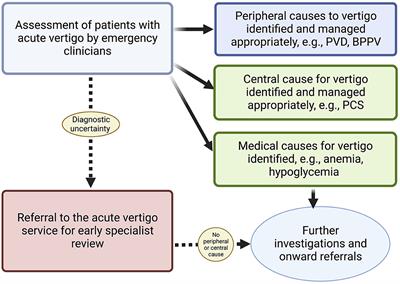 Hyperacute vestibular syndrome: the role of an acute vertigo service